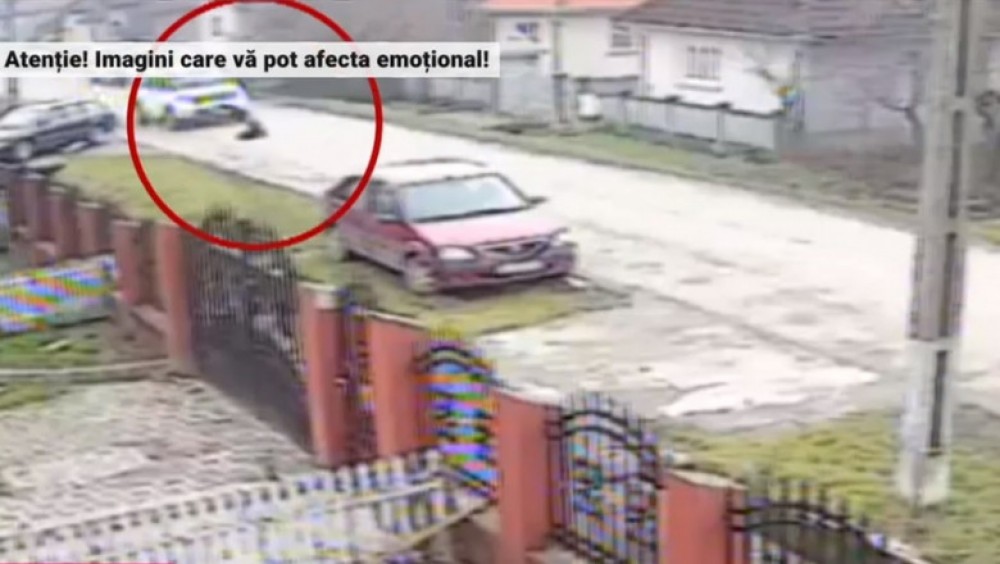 Imagini șocante: Un șofer calcă intenționat un câine